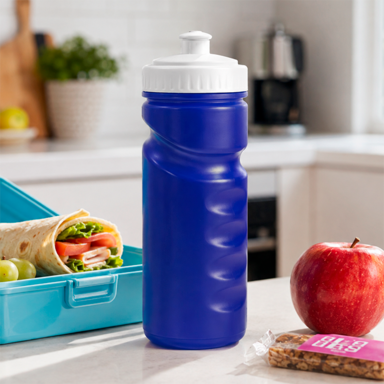 500ml Visiline Water Bottle
