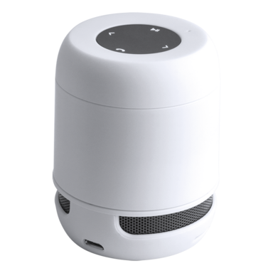 Braiss Bluetooth Speaker
