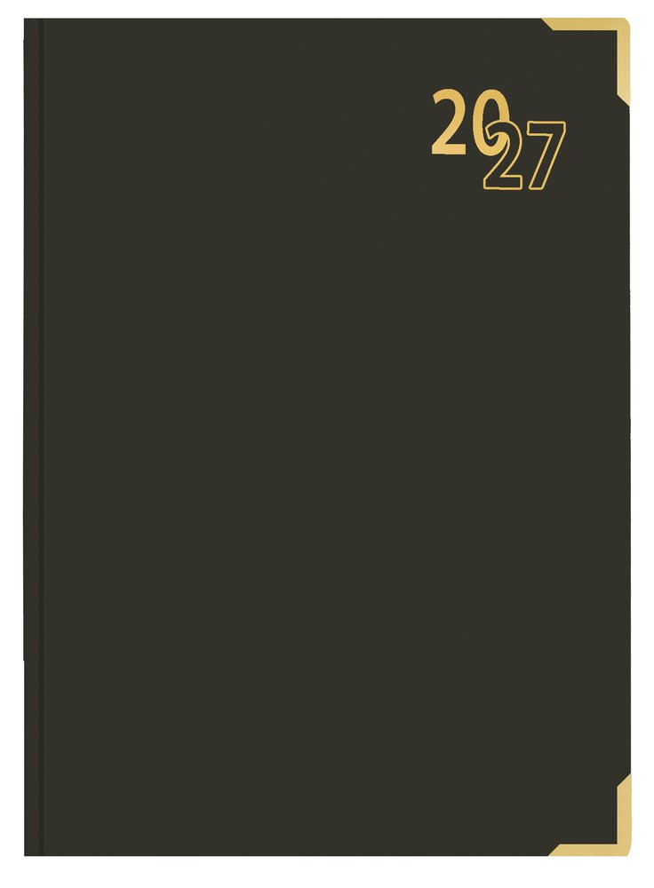 A5 Page-a-Day Executive Diary 2027