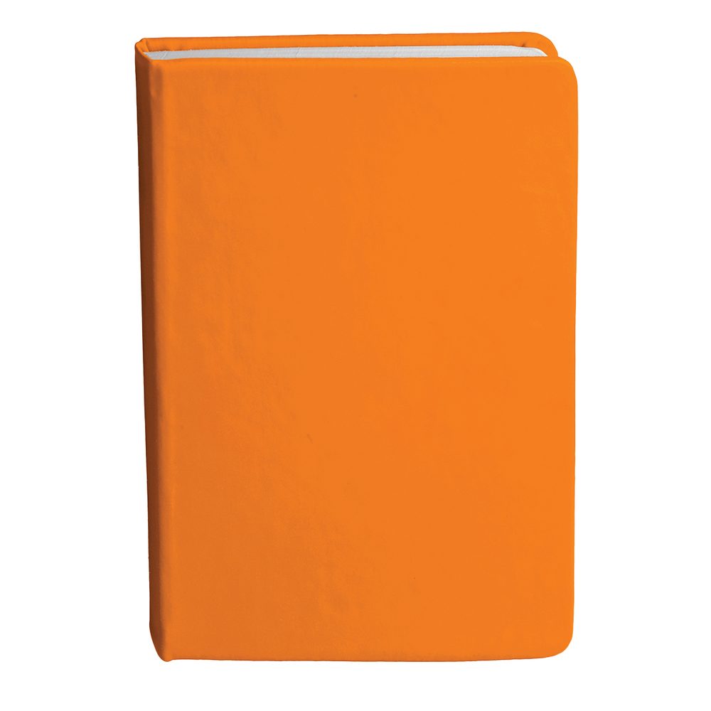 Bingham Notebook